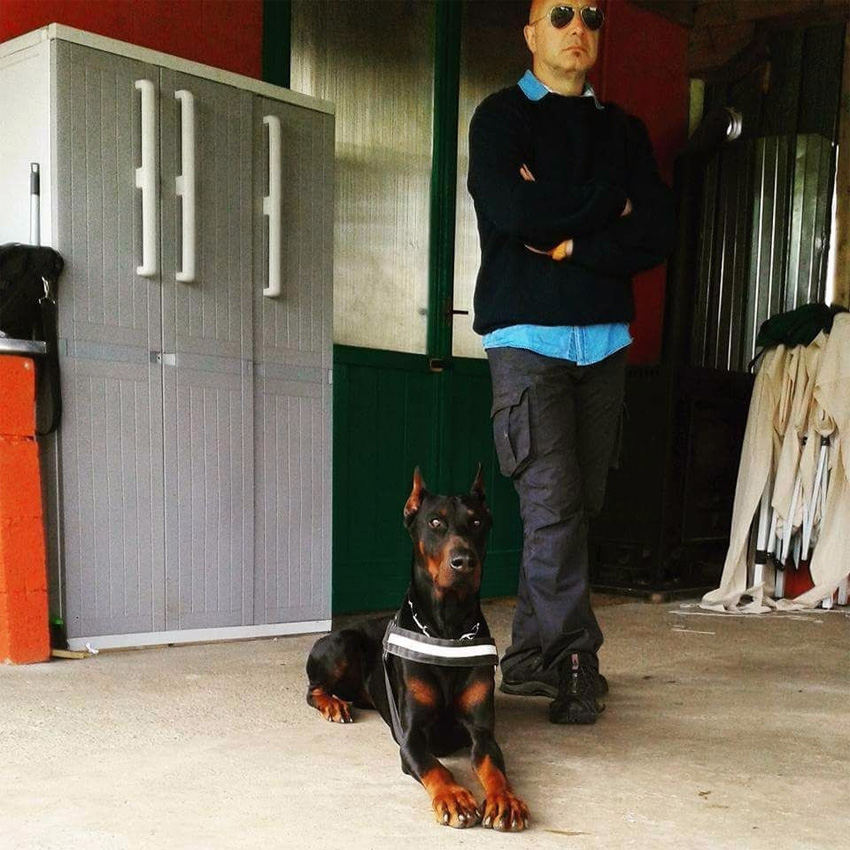 Comunicazione tra cane e proprietario