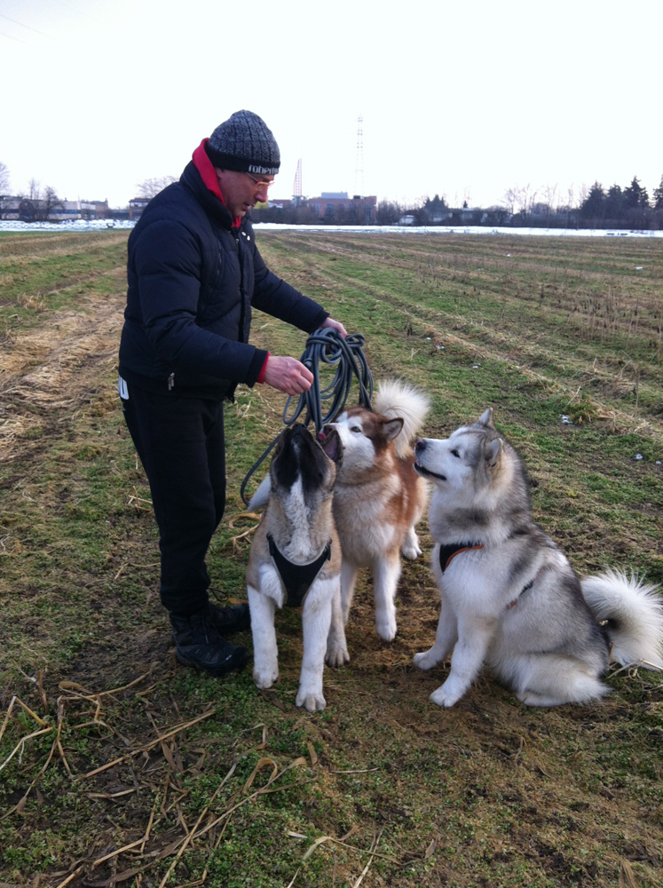 Socializzazione del cane