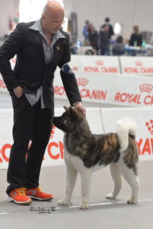 Binomio durante movimento in ring