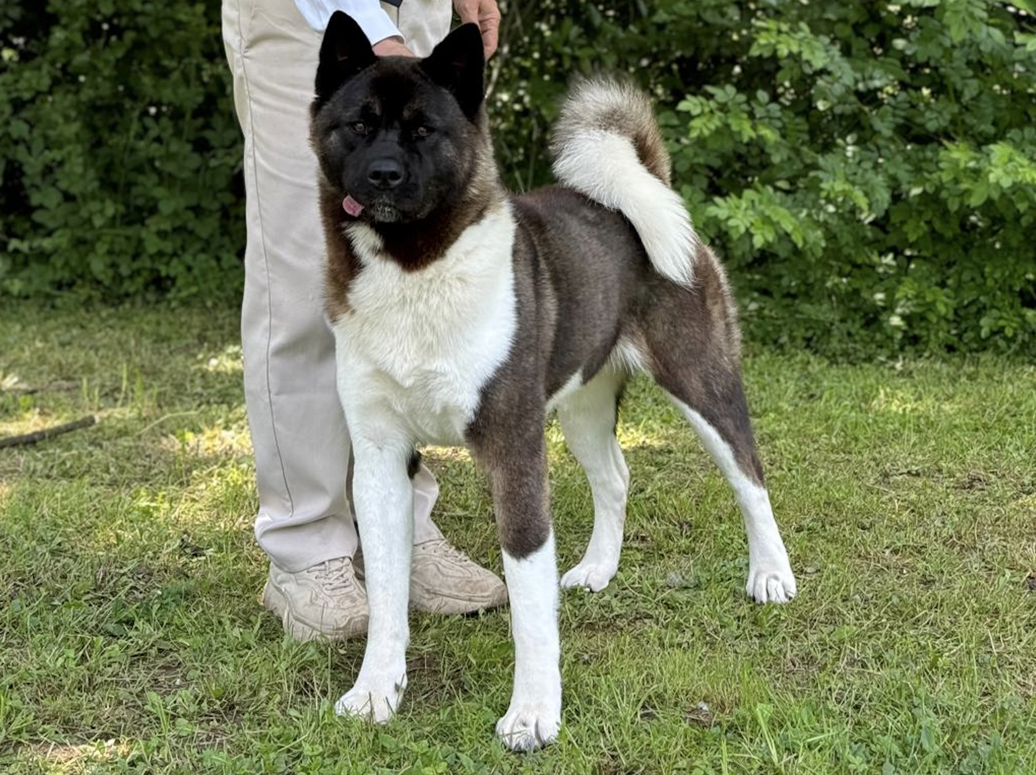 The Dojo Project Nigeria (Nairobi)