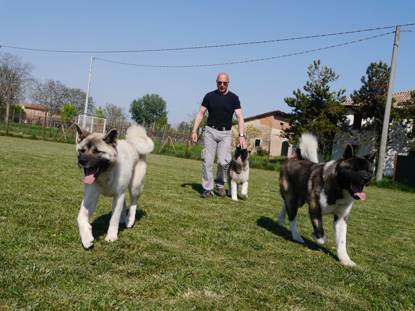 Guido con i suoi cani