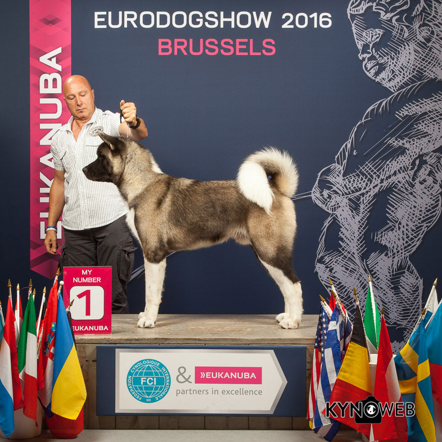 Allenamento nelle Montagne Orobiche